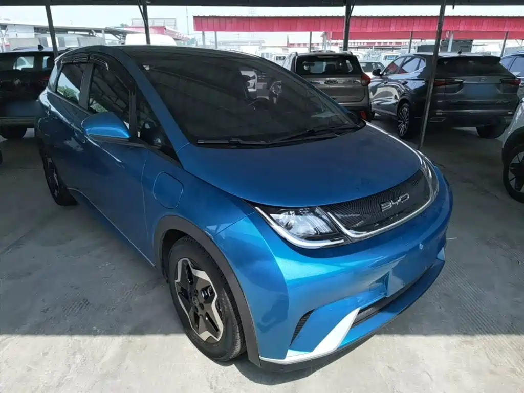 BYD Dolphin 2021 405km Fashion