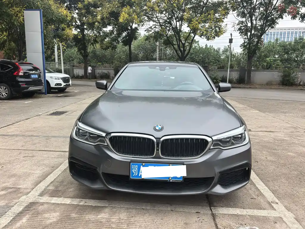 BMW 5 Series (Import) — миниатюра 4