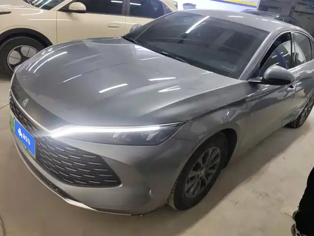 BYD QIN L 2024