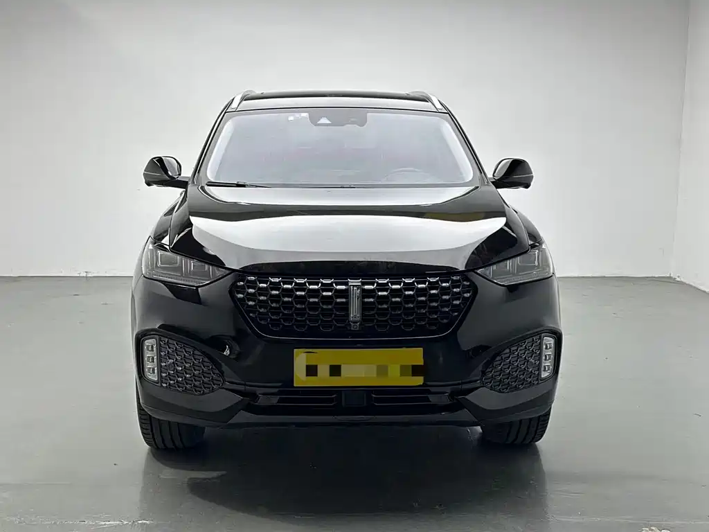 Wey Wey VV6 — миниатюра 2