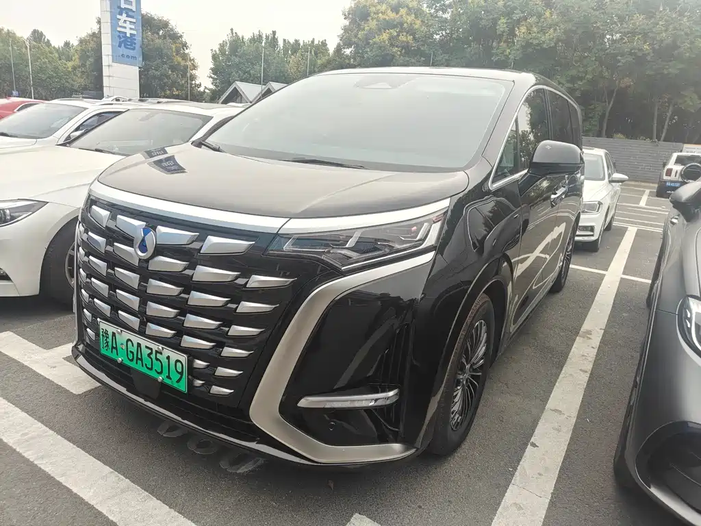 Denza Denza D9