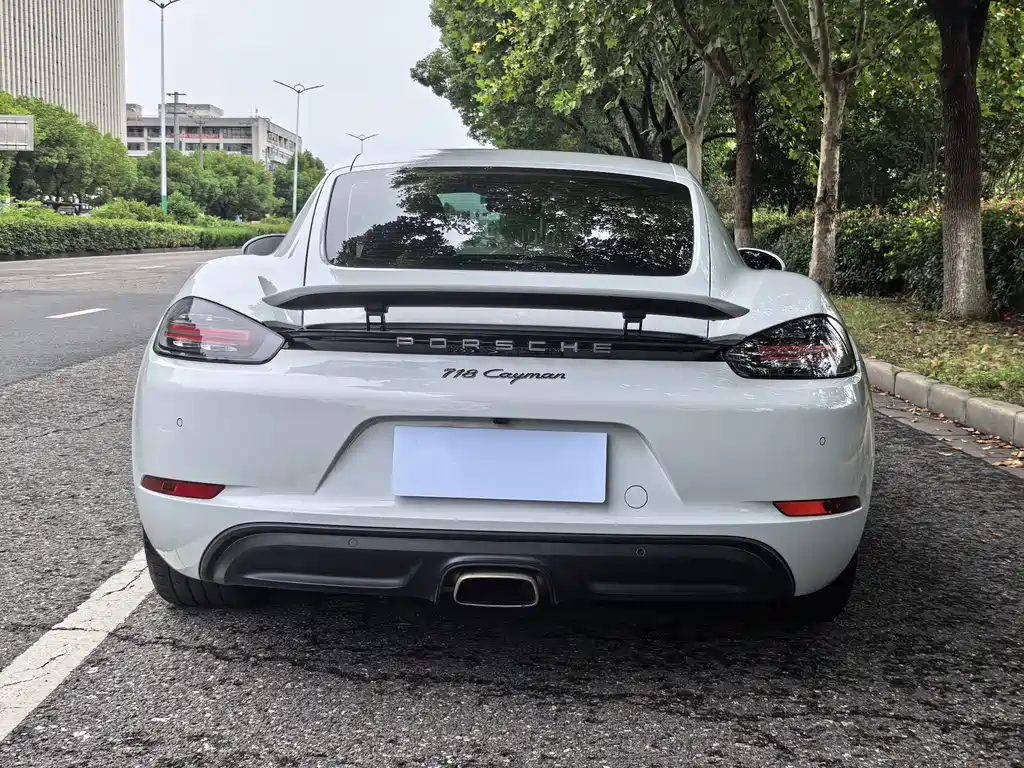 Porsche 718 — миниатюра 6