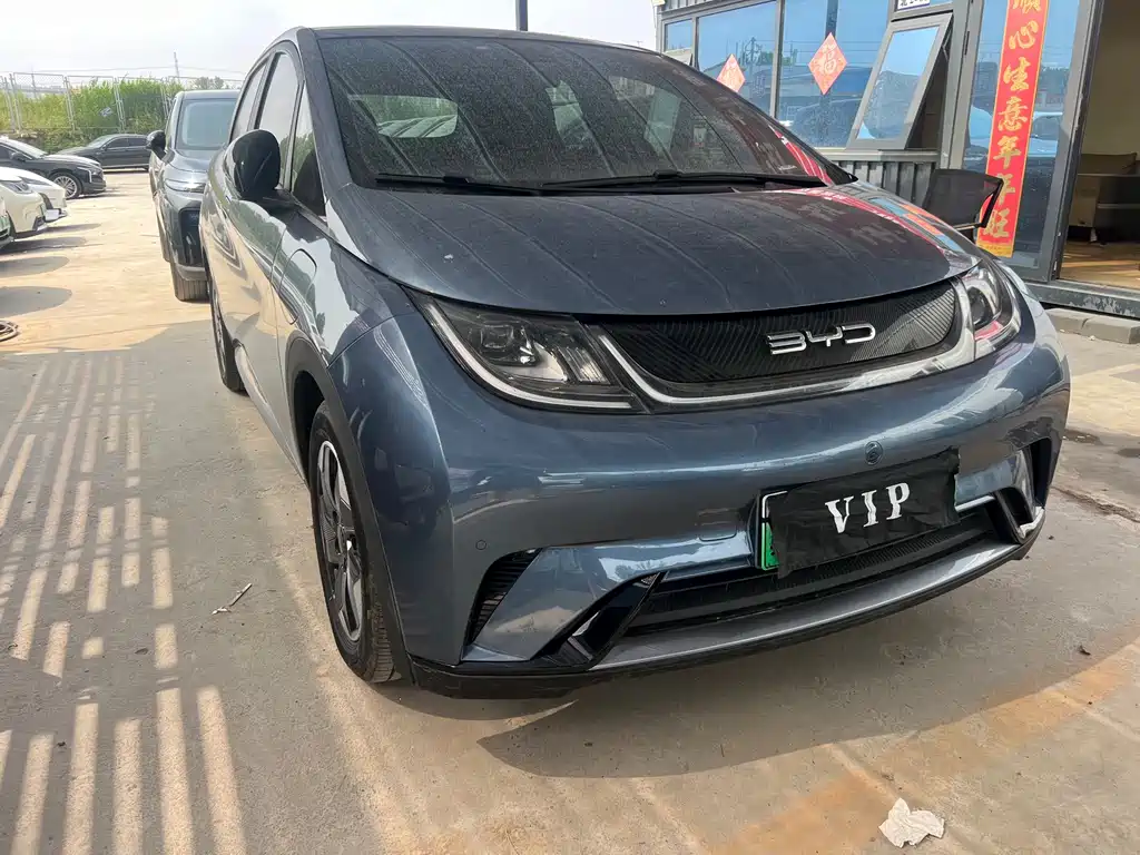 Byd Dolphin 2024
