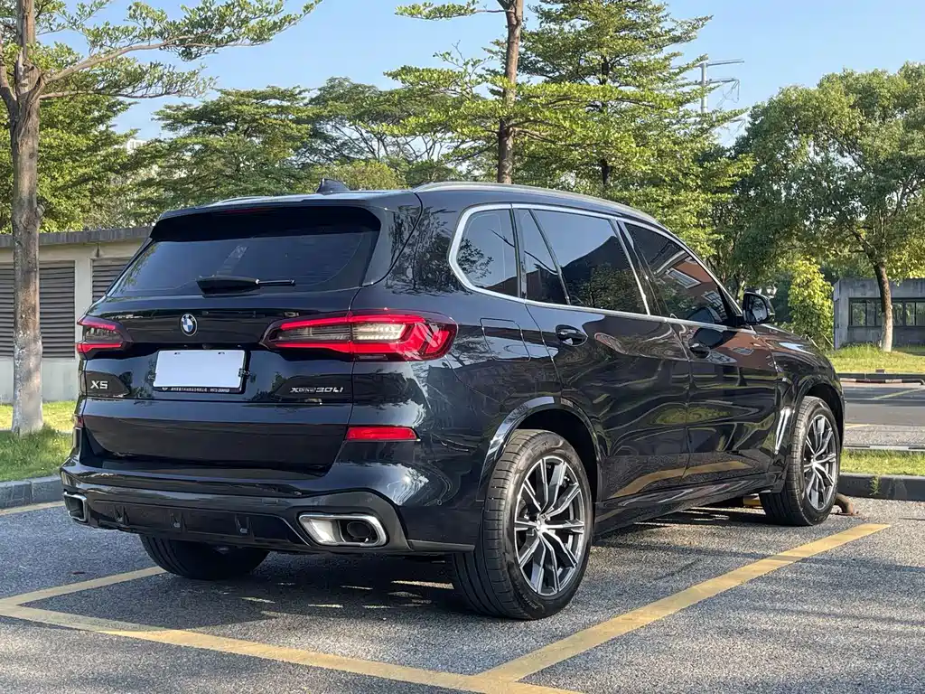 BMW X5 — миниатюра 6