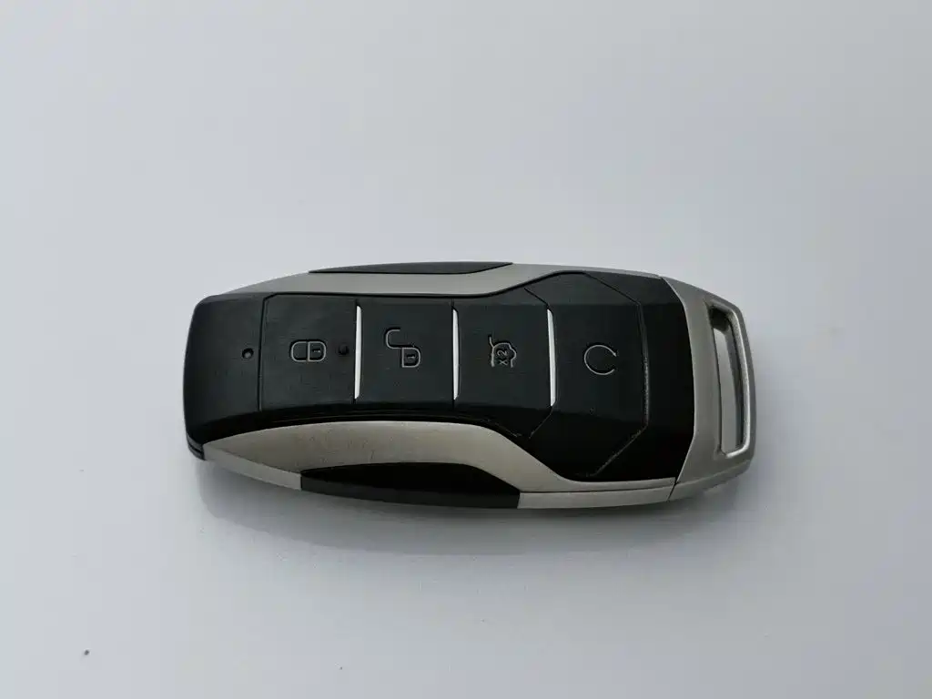 BYD PLUS — миниатюра 19