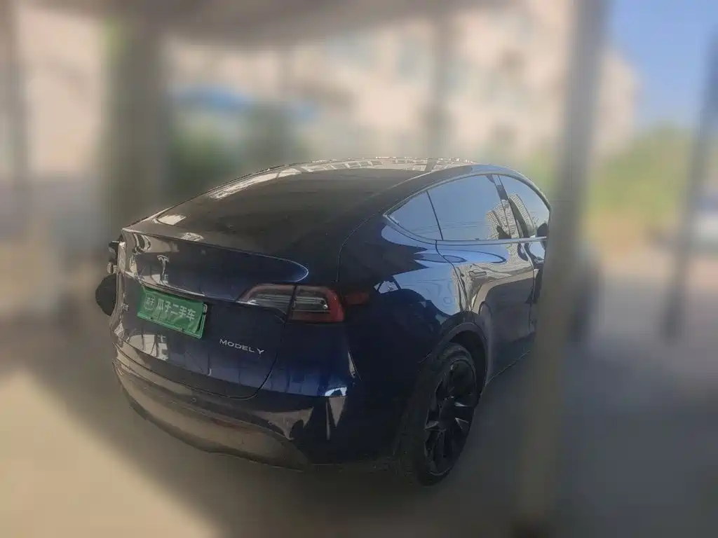 Tesla Model Y — миниатюра 6