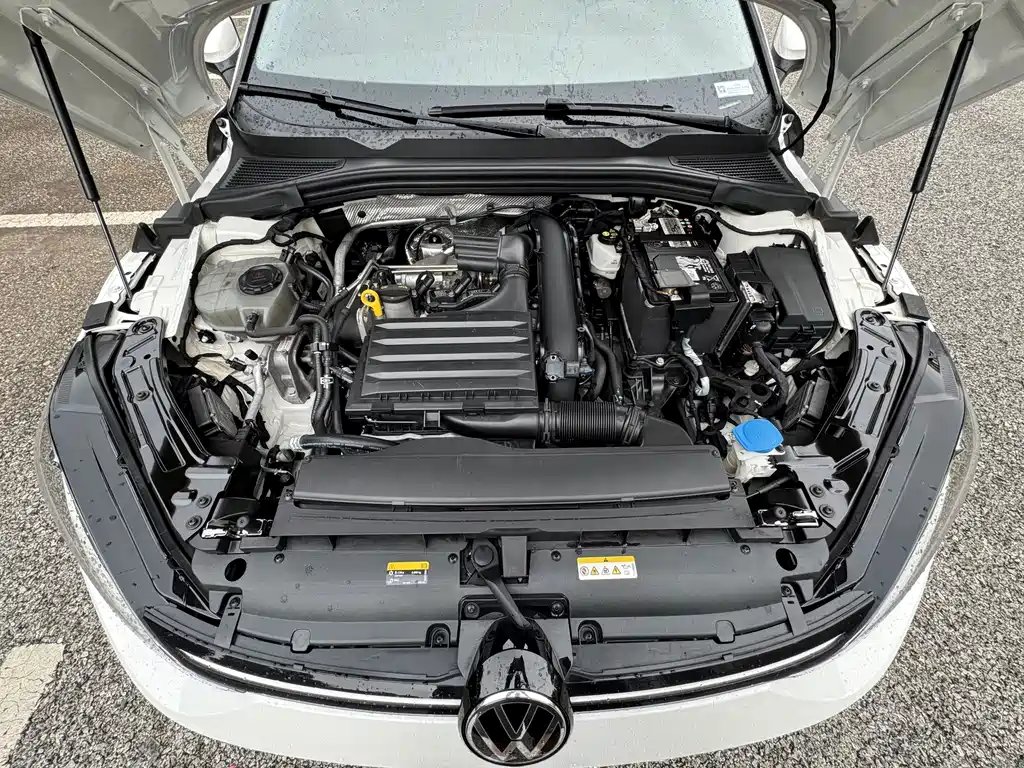 Volkswagen Lamando — миниатюра 26