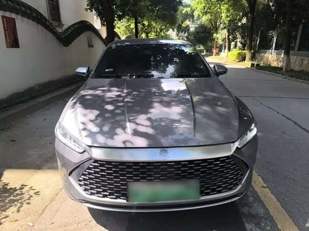BYD Qin Plus PLUS 2024 DM-i 55KM Lead