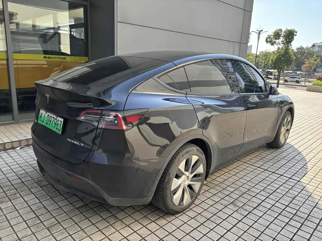 Tesla Model Y — миниатюра 4