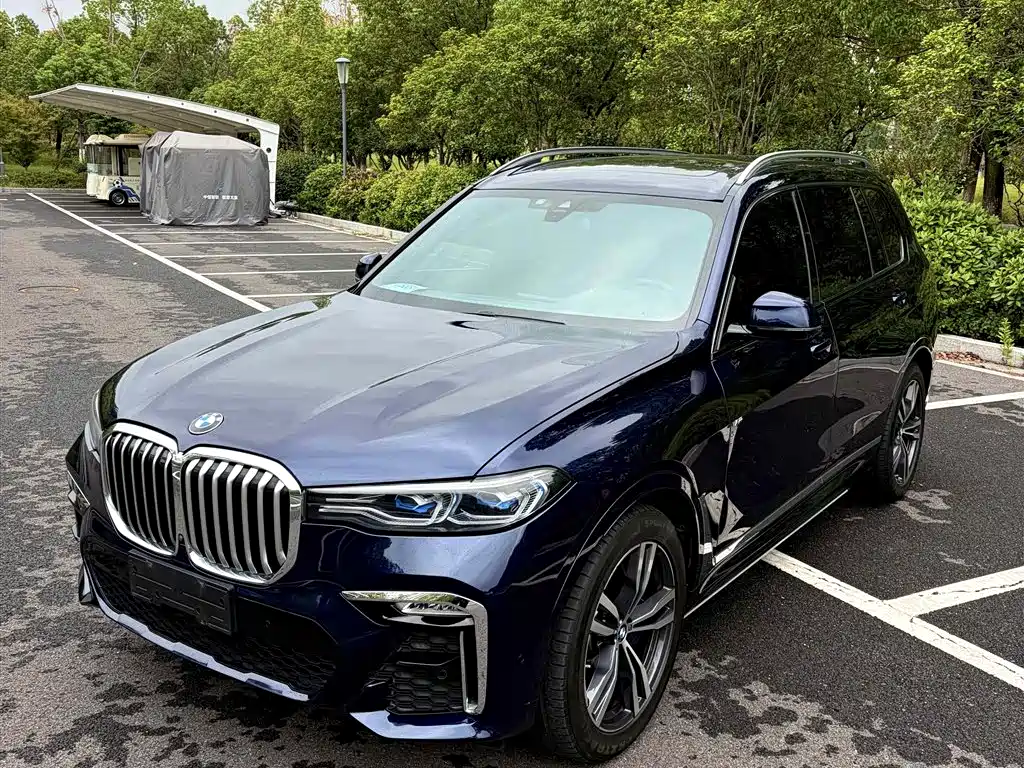 BMW X7 — миниатюра 2
