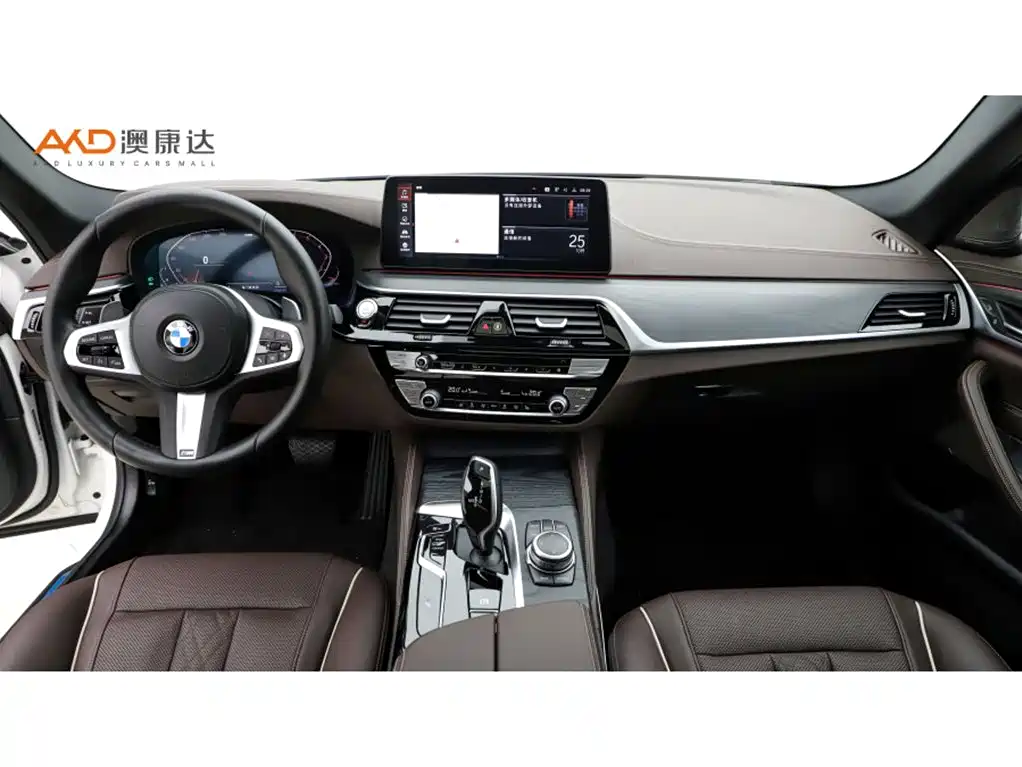 BMW 5 Series — миниатюра 5