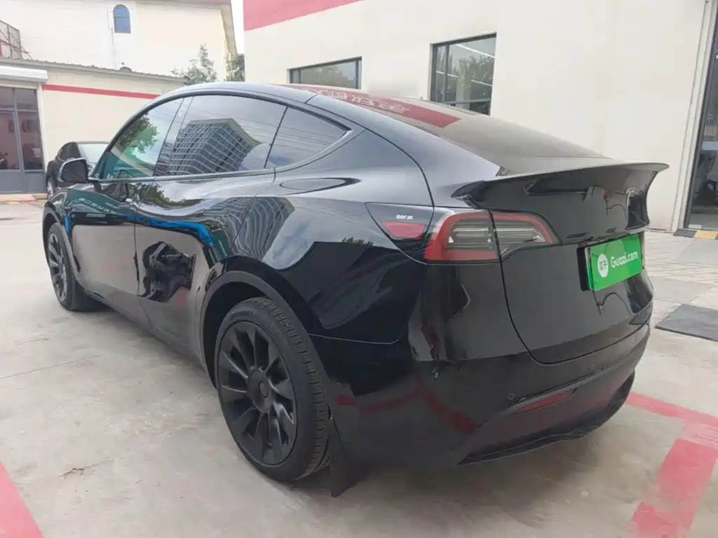 Tesla Model Y — миниатюра 5