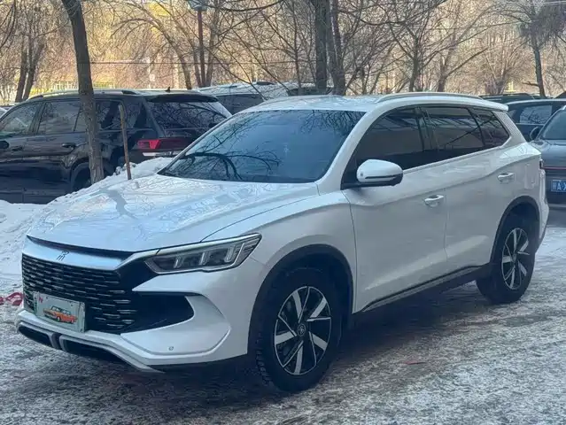 BYD SONGJIANG NEW ENERGY 2024