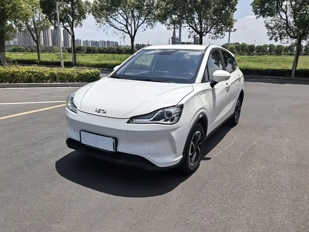 Neta Neta V 2021