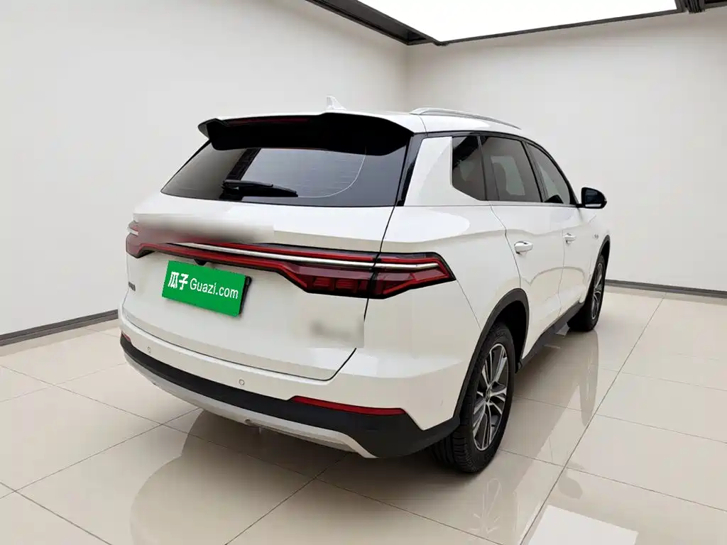 BYD Pro — миниатюра 6