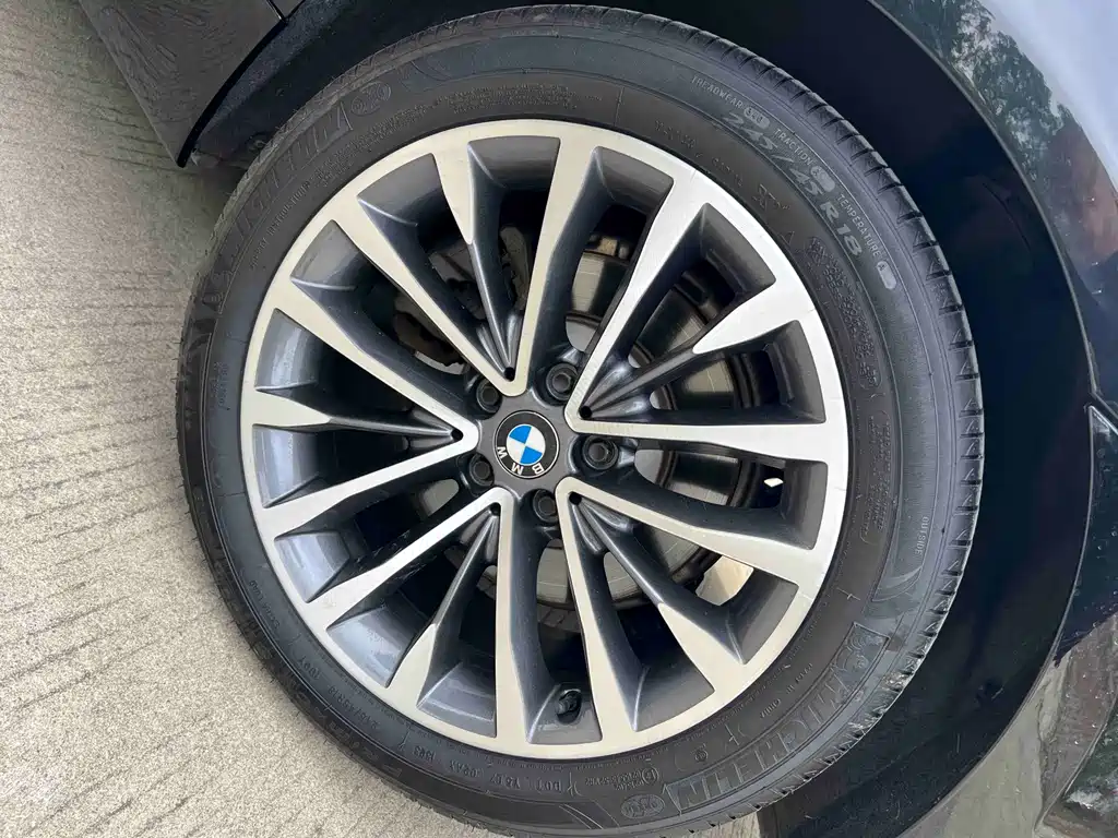 BMW 5 Series 5 2019 530Li Lead Luxury