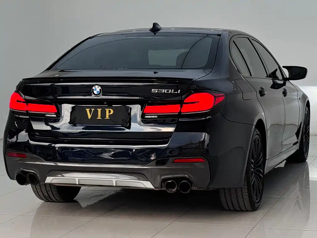 BMW 5 Series — миниатюра 11