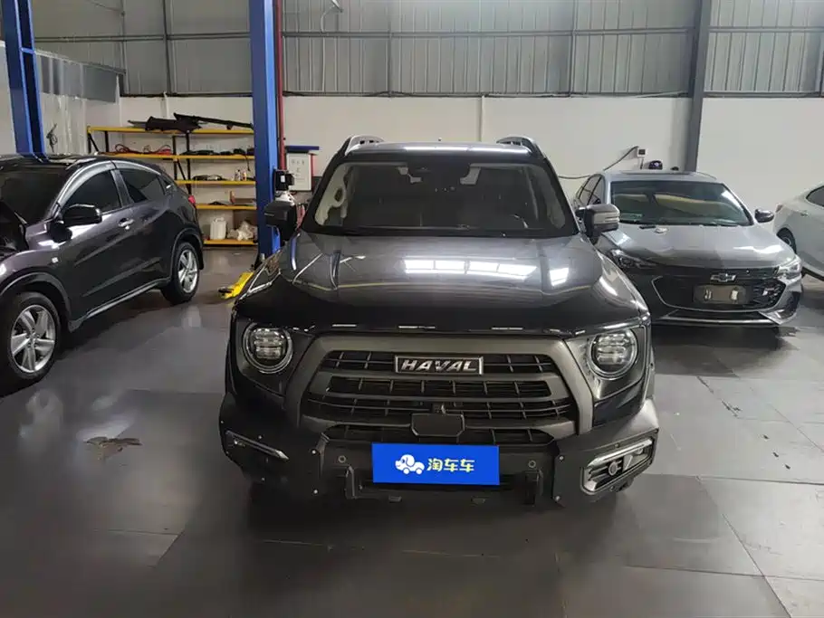 HAVAL BIG DOG