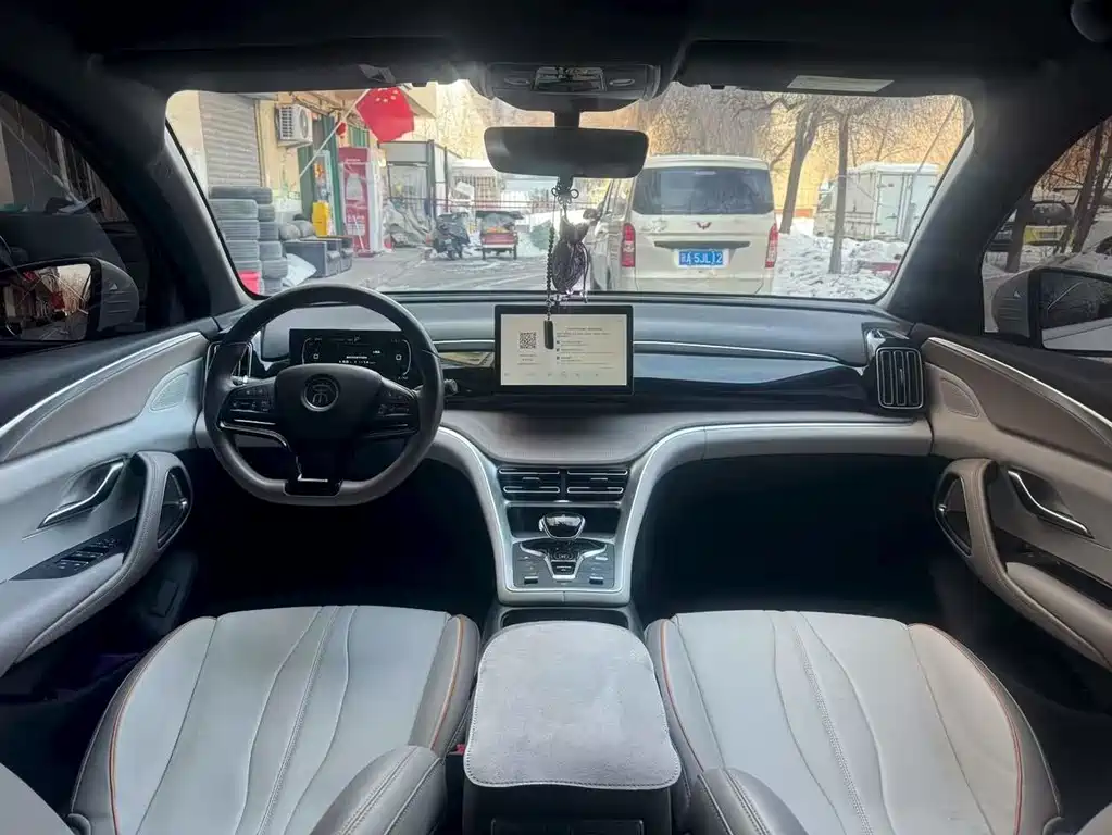 BYD SONGJIANG NEW ENERGY