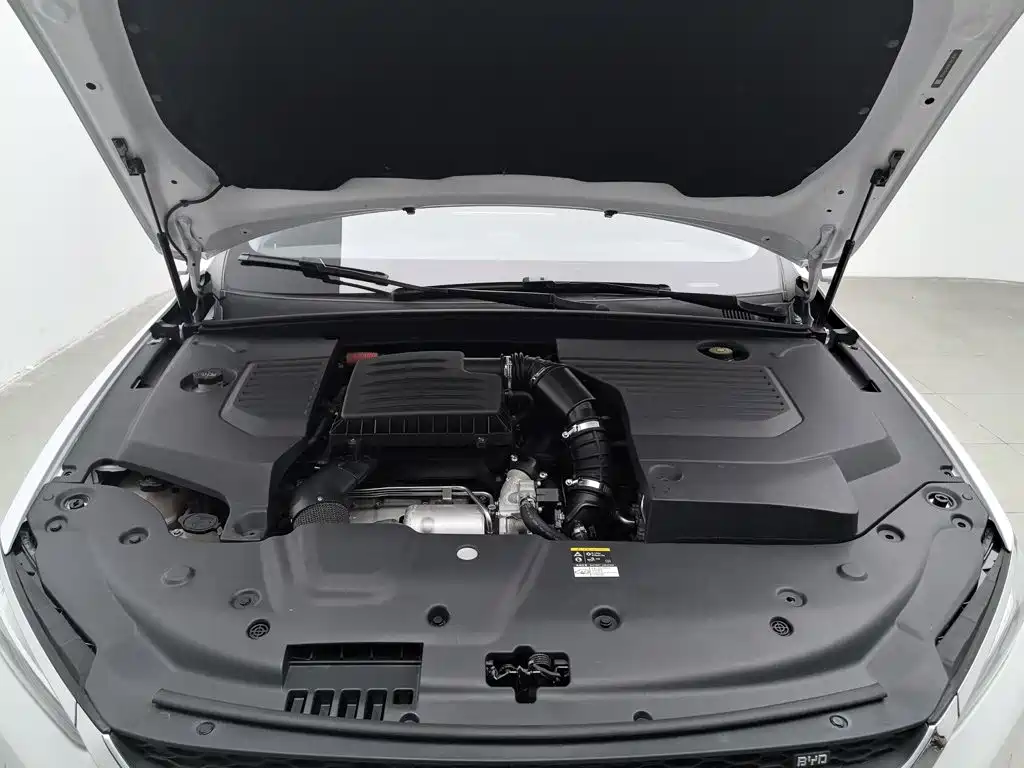 BYD Qin Pro NEV — миниатюра 6