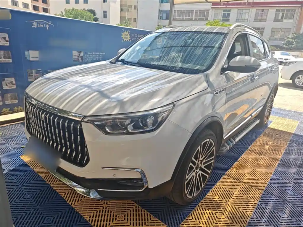 Leopaard Mattu 2019