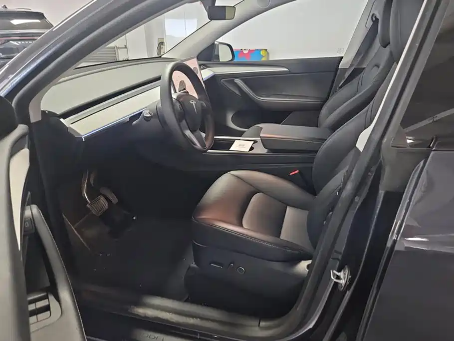 Tesla Model Y — миниатюра 9