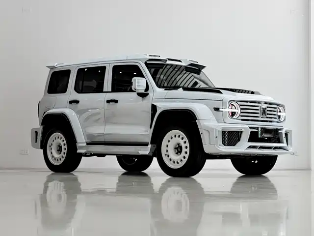 2025 TANK 300