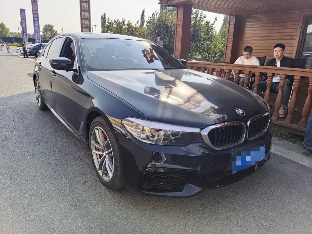 BMW 5 Series — миниатюра 3
