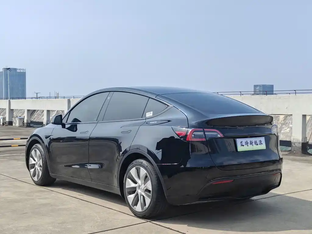 Tesla Model Y — миниатюра 6