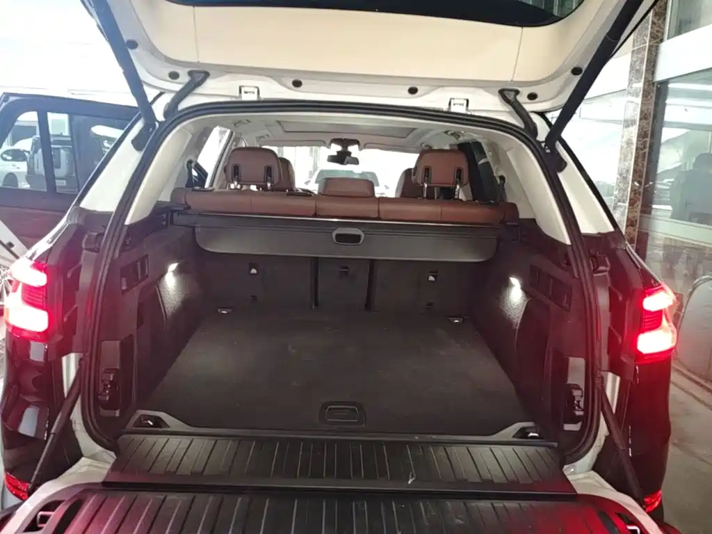 BMW X5 (Import) — миниатюра 19