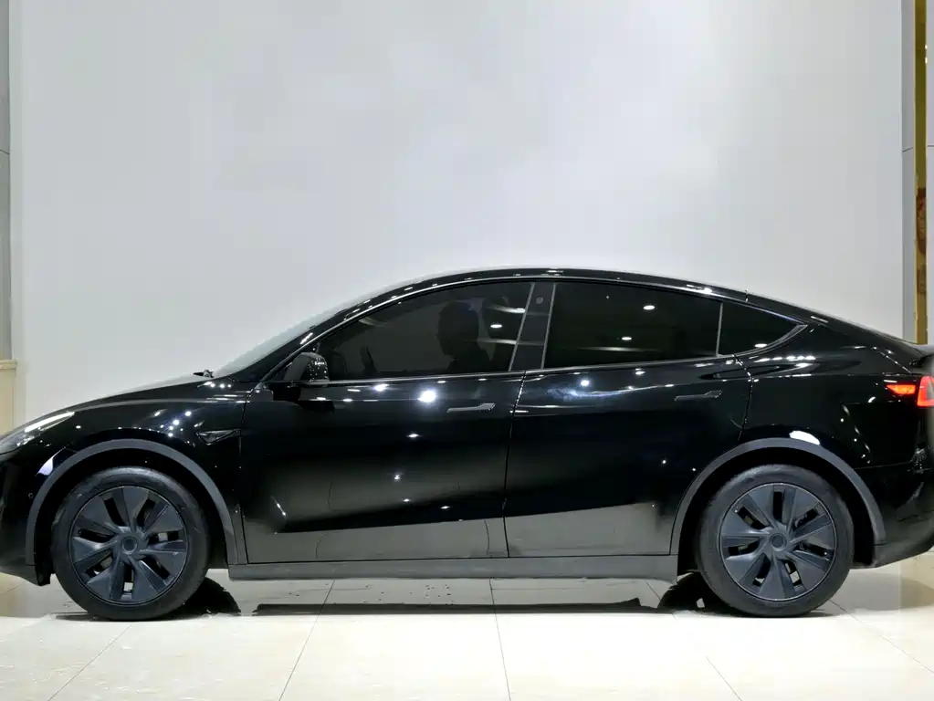 Tesla Model Y — миниатюра 4