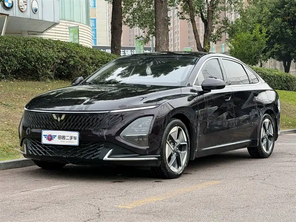 Wuling Xingguang 2024