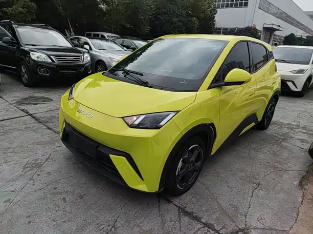 BYD Seagull