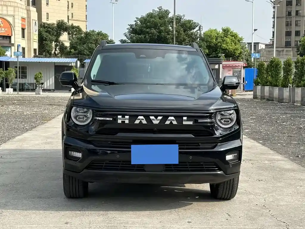 Haval Big Dog PLUS — миниатюра 2