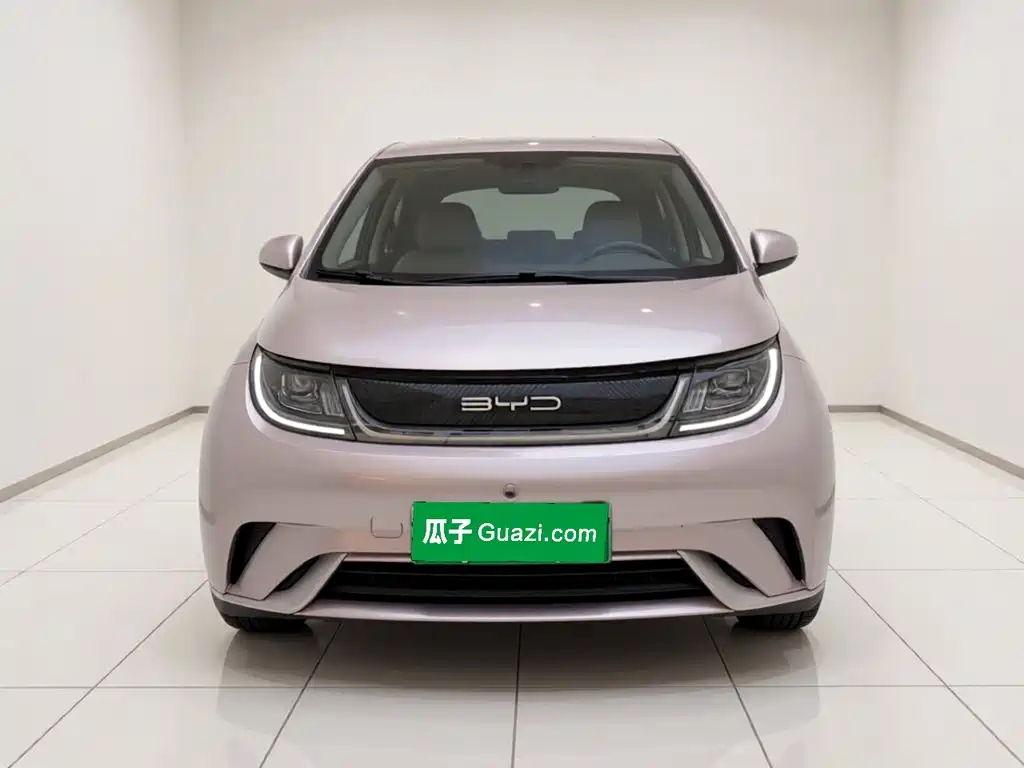 BYD Dolphin — миниатюра 2