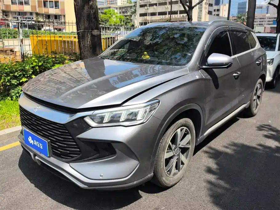Byd Pro New Energy 2024