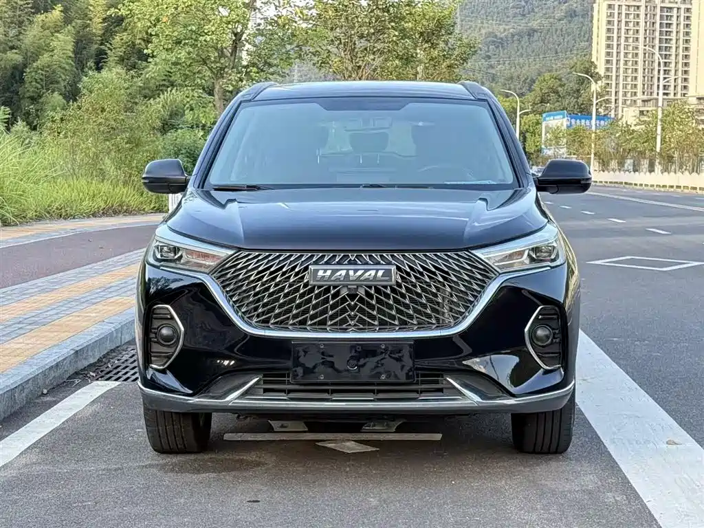 HAVAL  M6