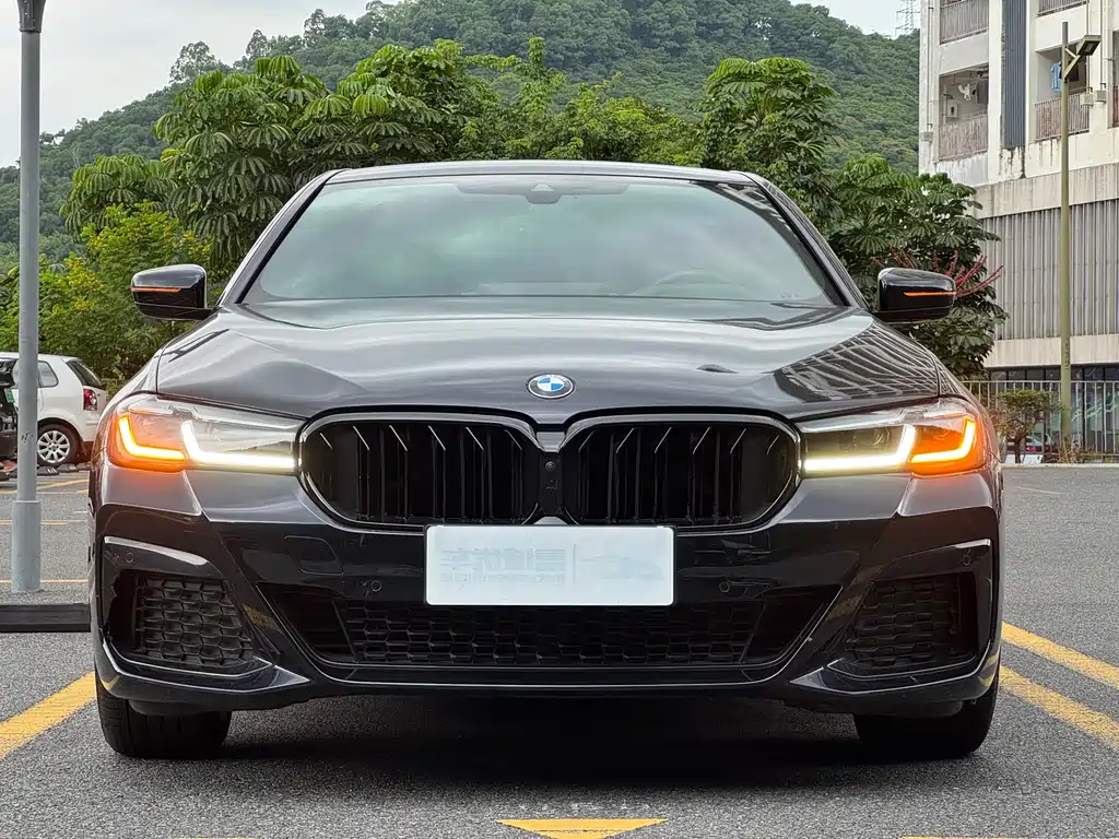 BMW 5 Series (Import) — миниатюра 2