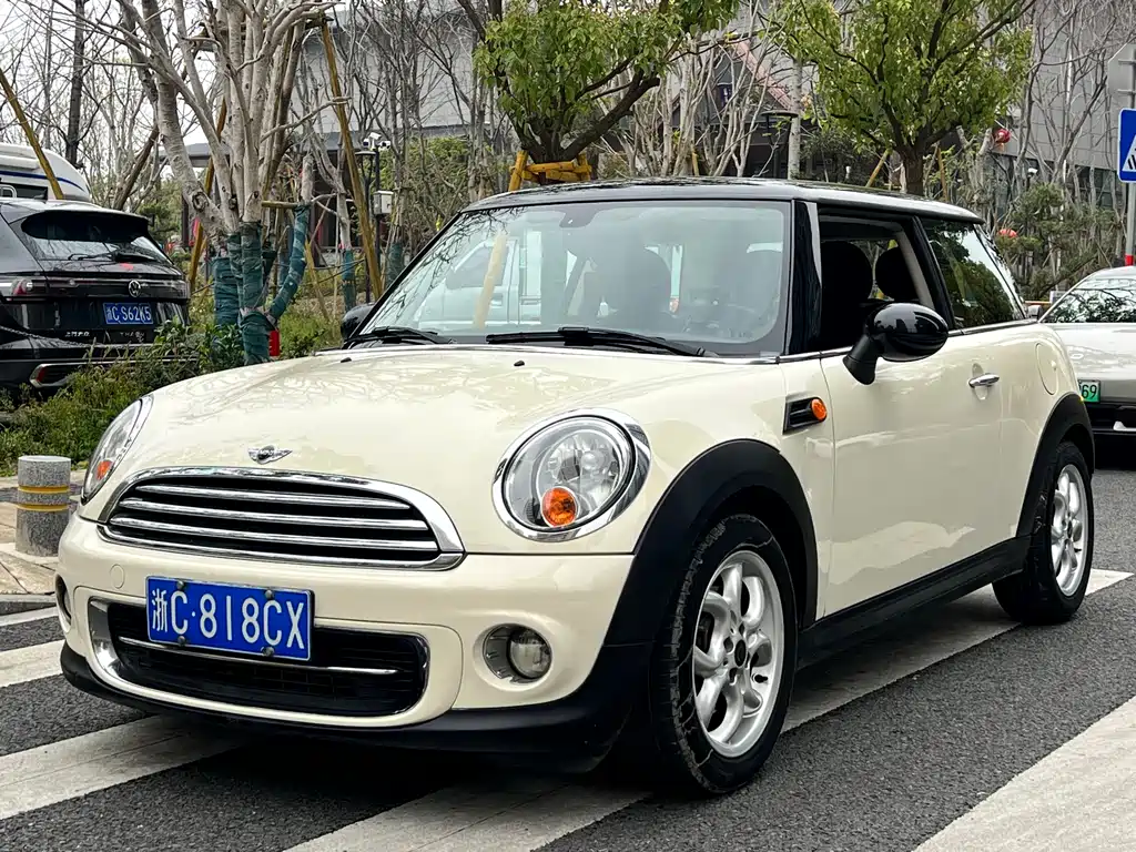 Mini Mini 2014