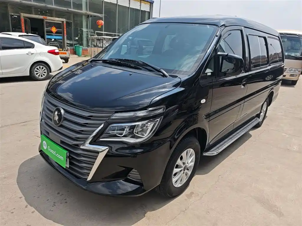 Fengxing Lingzhi 2024