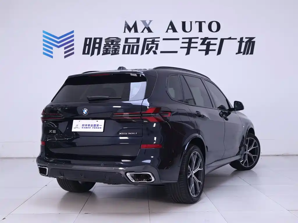 BMW X5 — миниатюра 7