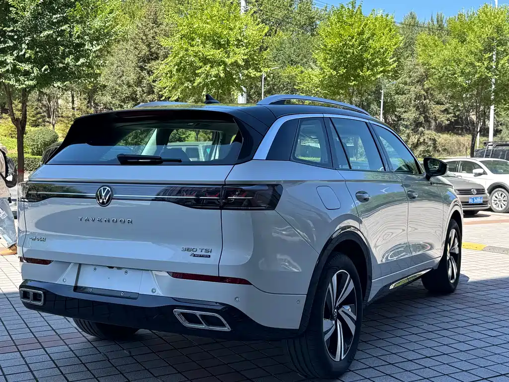 Volkswagen Tavendor — миниатюра 17