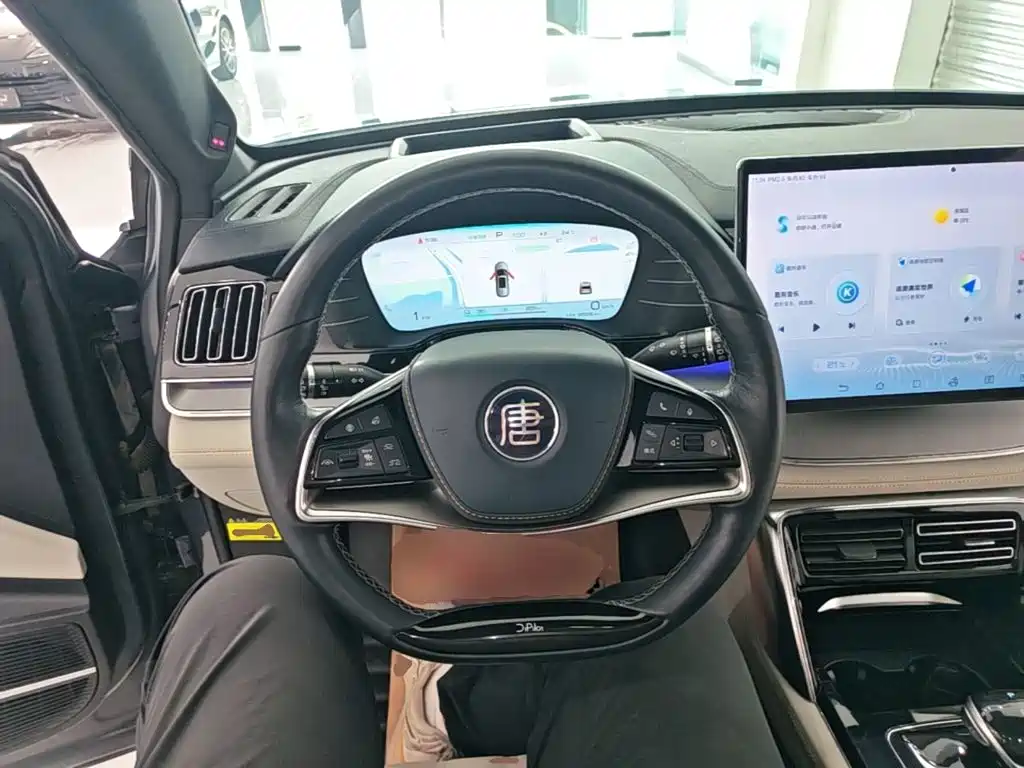 BYD Tang New Energy — миниатюра 11