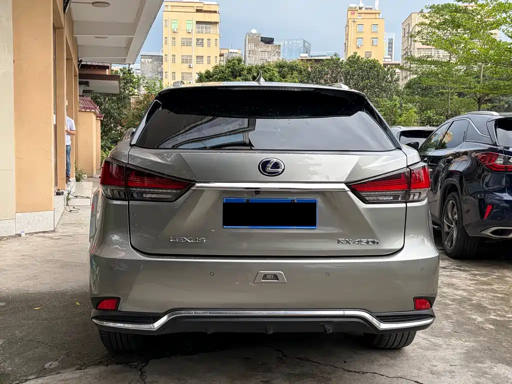 Lexus RX 2020 450h Elegant VI