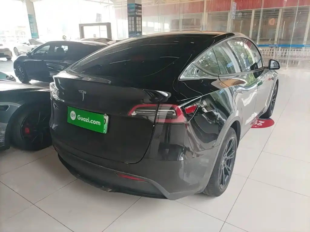 Tesla Model Y — миниатюра 7