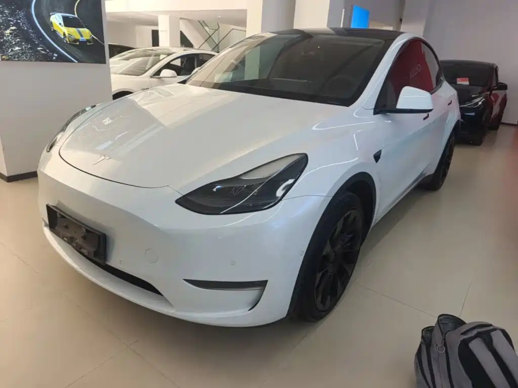 Tesla Model Y — миниатюра 2