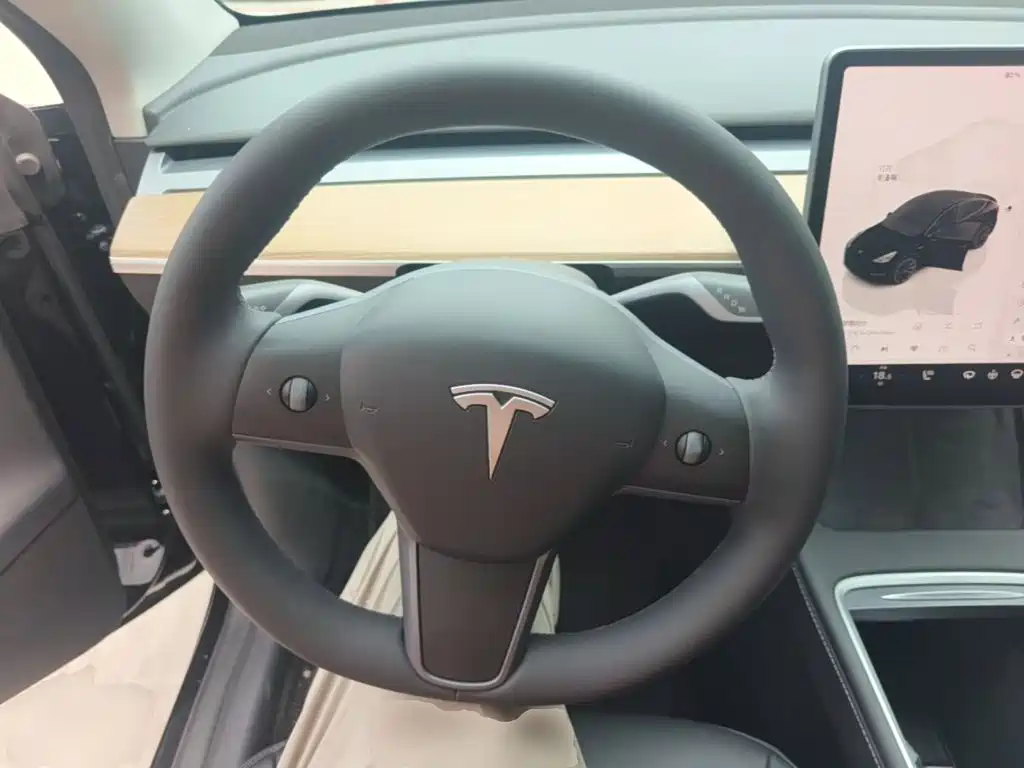 Tesla Model Y — миниатюра 11