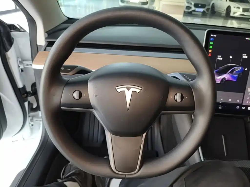 Tesla Model 3 — миниатюра 11