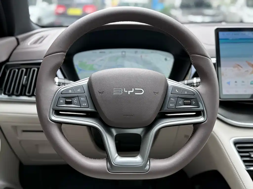 BYD PLUS — миниатюра 15