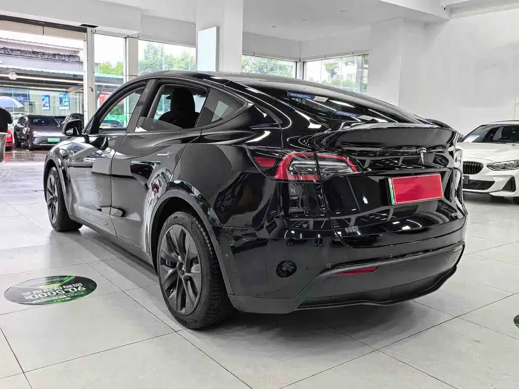 Tesla Model Y — миниатюра 11